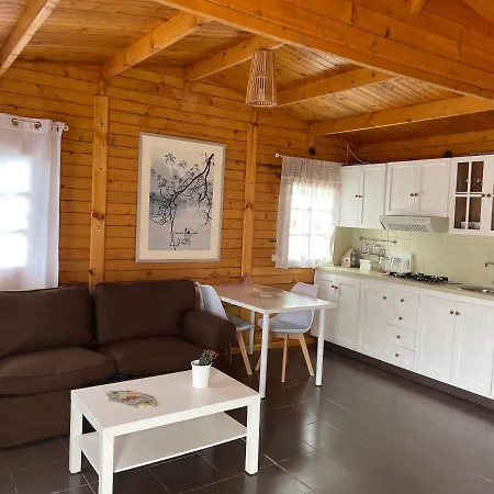 Agradable Mini Casa De Madera Con Jardín Amplio